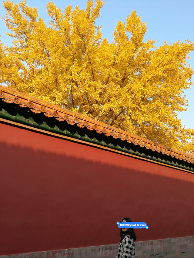 Autumn in the Forbidden City: A Journey Through History and Beauty 