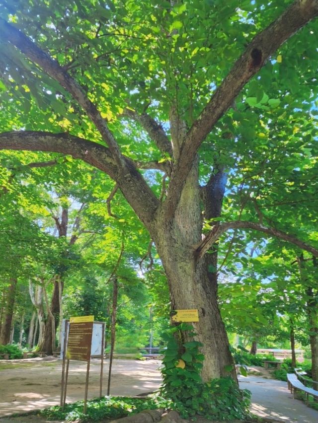 이색 폭포 탐험