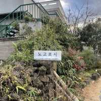 제주도 숨은 아늑한 카페