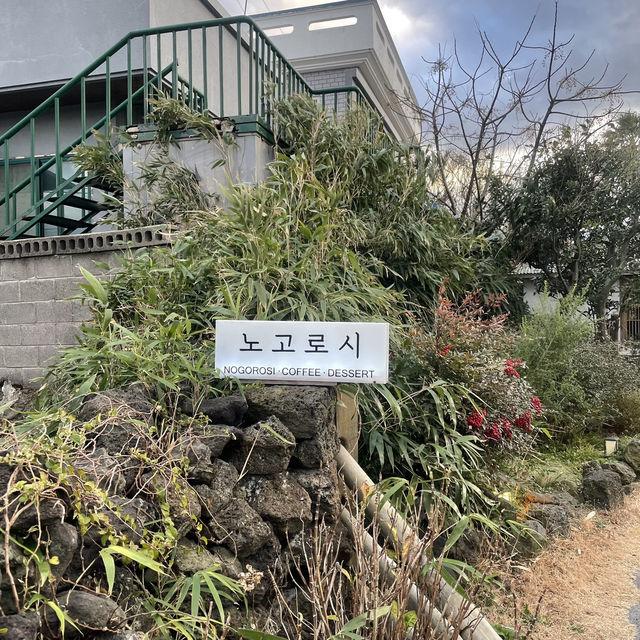 제주도 숨은 아늑한 카페