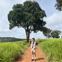 อุทยานแห่งชาติเขาใหญ่ | KHAO YAI National Park 