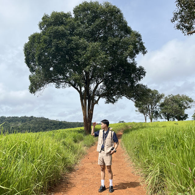 อุทยานแห่งชาติเขาใหญ่ | KHAO YAI National Park 