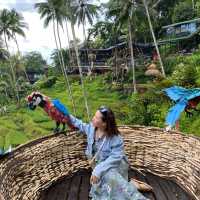 Wonderful Visit to Alas Harum Bali