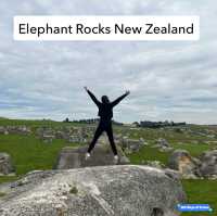 Fascinating Elephant Rocks in NZ