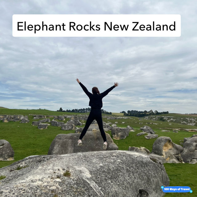 Fascinating Elephant Rocks in NZ