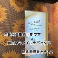 珍しいから行ってみて！世界のタイル博物館