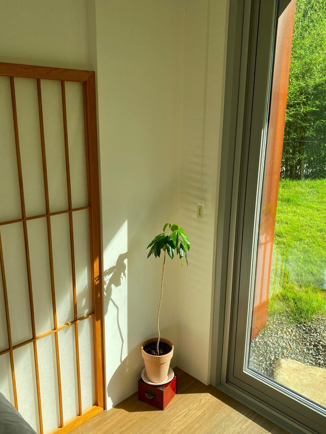 🍄밀양숙소 힐링🌻가득공간 하우하