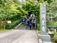 【神奈川県】仏殿の天井画を仰ぎ見る