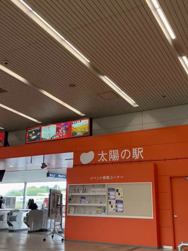 【万博公園】万博のシンボル！太陽の塔☀️
