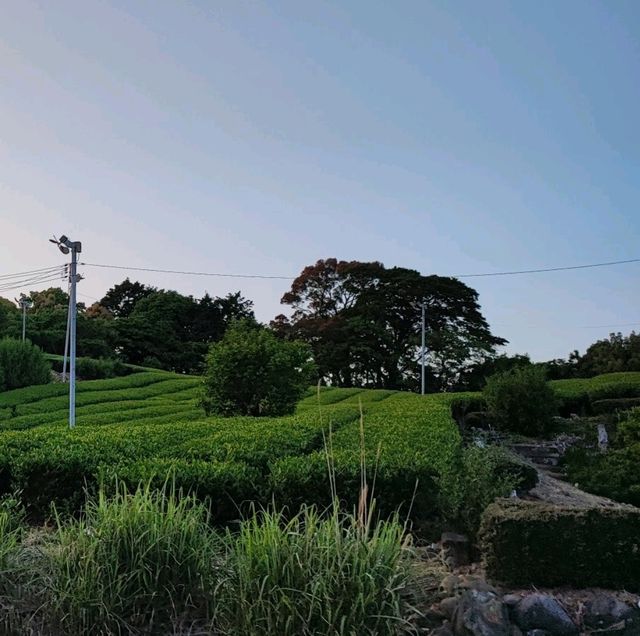 【静岡】都心を外して安く宿泊する！袋井市「愛野」のという街