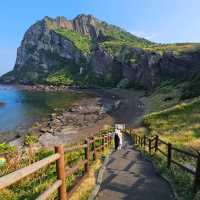 Seongsan Ilchulbong's Morning Glory