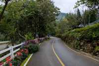 สถานีเกษตรหลวงอินทนนท์