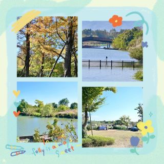 天井湖：初秋湖景的絕美畫卷 🌅🍂
