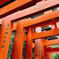 Wonderful day at Fushimi Inari Taisha