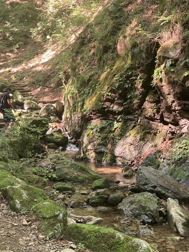 【東京都･青梅市】都内から日帰りで行ける山！