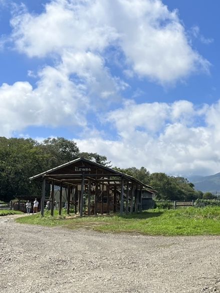【八ヶ岳】無料で入れる満喫牧場！🐮