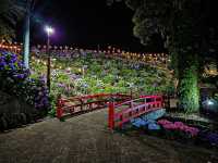 【愛知】絶景！10000株の紫陽花が咲き誇るあじさいの里✨