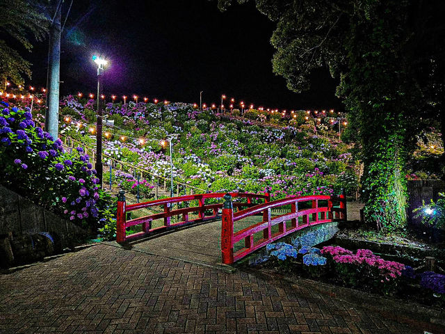 【愛知】絶景！10000株の紫陽花が咲き誇るあじさいの里✨