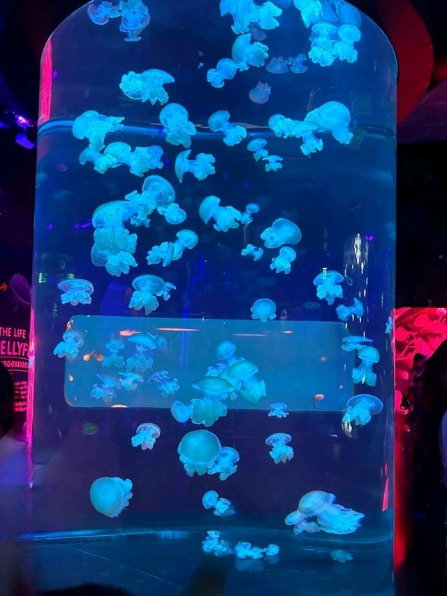 เที่ยว SEA LIFE Bangkok กัน!!