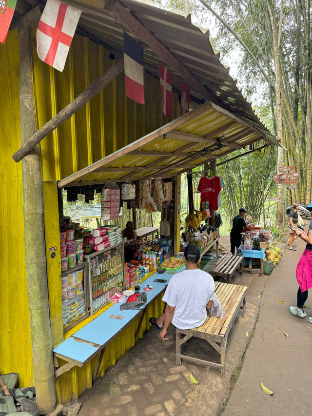 Tumpak Sewu, Asian Niagara Falls