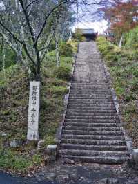 【ここ行って】本当は教えたくない🙅眺めもいい🤩山の上で見るイチョウ✨
