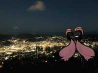 日本三大夜景　長崎稲佐山