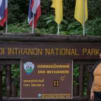 อุทยานอ่างกา ป่ายุคดึกดำบรรพ์