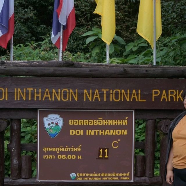 อุทยานอ่างกา ป่ายุคดึกดำบรรพ์