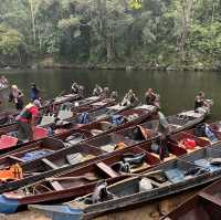 My Taman Negara Adventure!