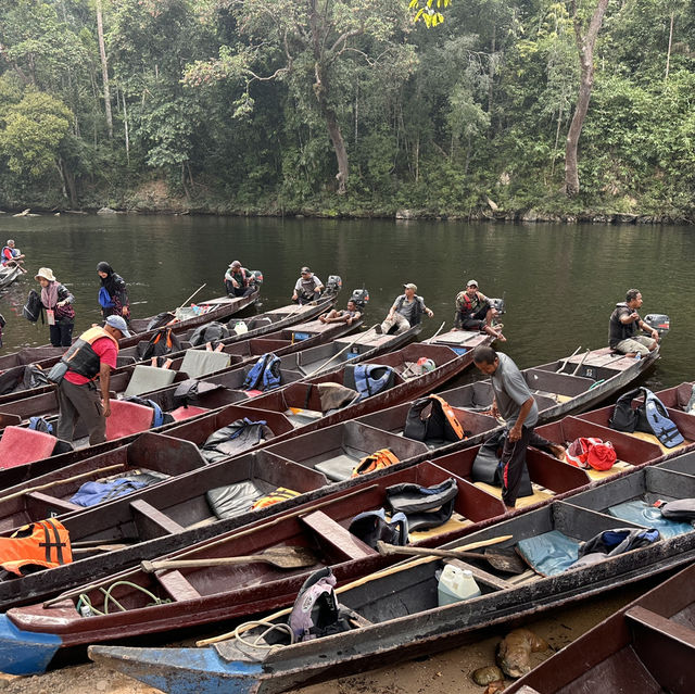 My Taman Negara Adventure!