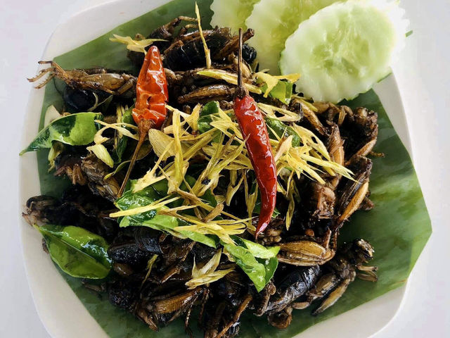 Pai na garden restaurant 