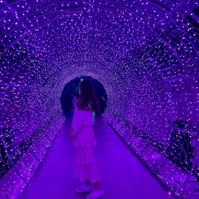 겨울 밤하늘의 별빛을 담은 동화 속 세상, 단양 수양개빛터널🌈