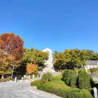 去首爾不能錯過的梨花女子大學銀杏林和紅葉美景