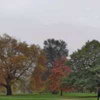 Golden Moments: Autumn in Hyde Park