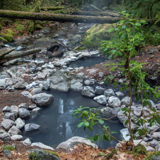 naturally formed pool nestled in a forested area