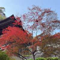 山寺 Yamadera