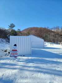 겨울시즌의 대미를 장식하는 태백눈꽃축제❄️