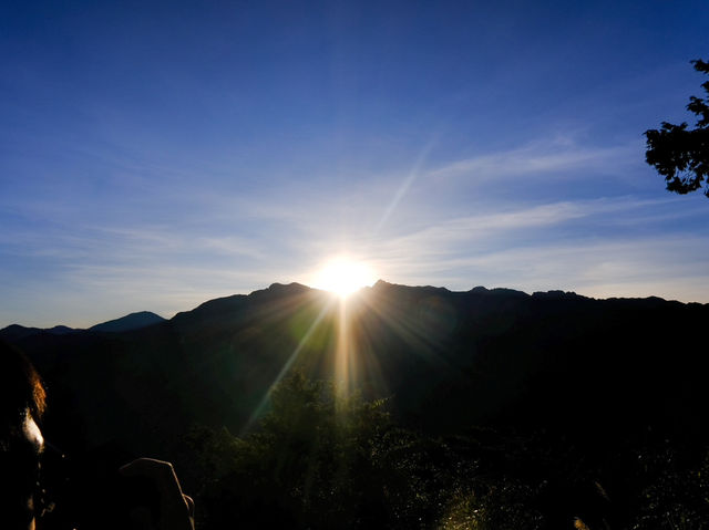 台灣嘉義｜ 簡易版日出—阿里山🌅