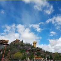  ขอพร @ Dafo Temple Shangrila