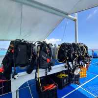 Diving in Philippines