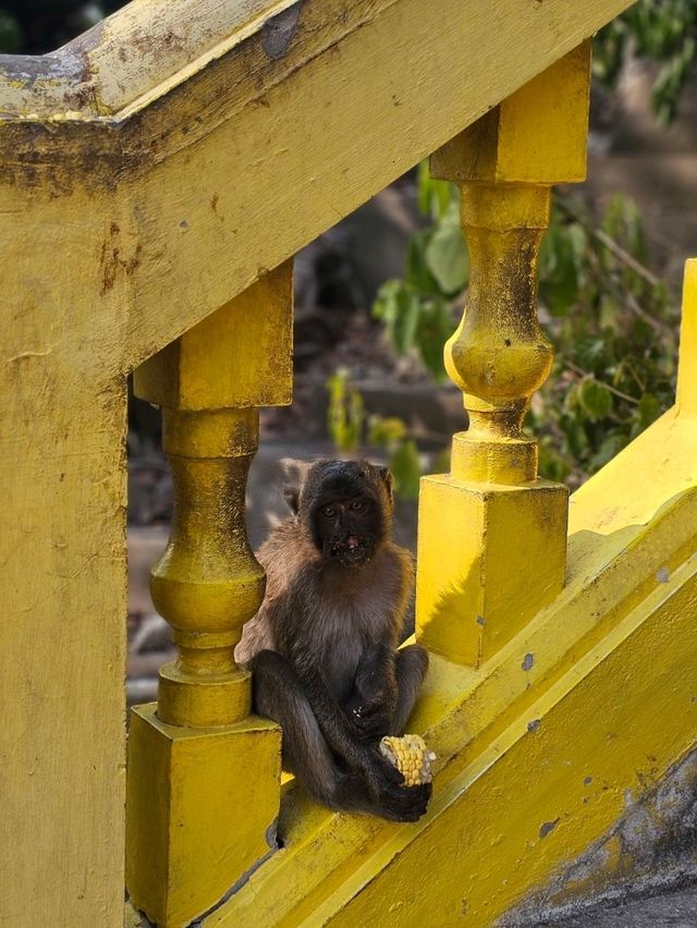 วัดธรรมิการาม (เขาช่องกระจก)