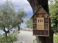 Hike to Castello di Vezio from Varenna