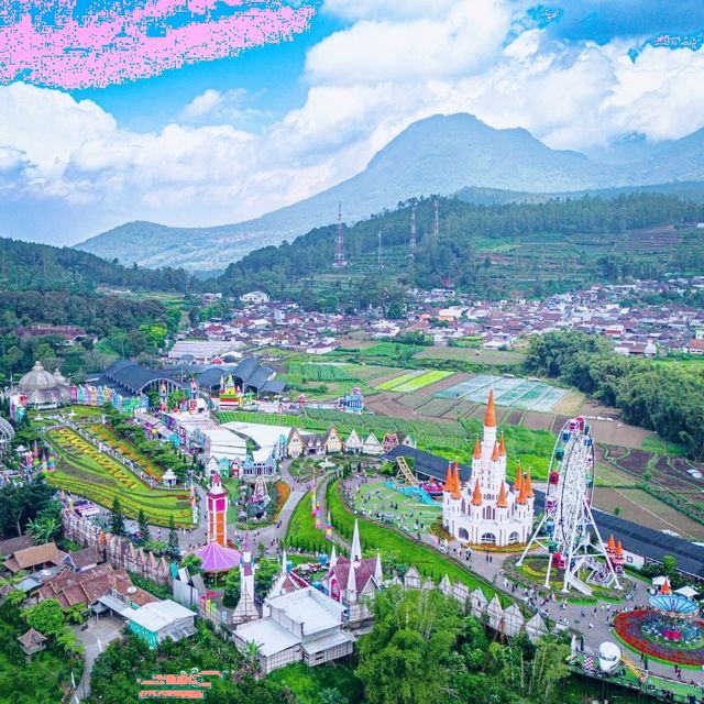 San Tera Tourism Flora