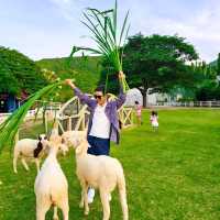 The Scenery Vintage Farm 🐑✨