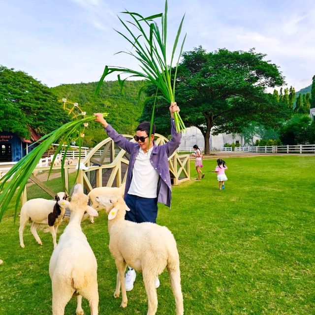 The Scenery Vintage Farm 🐑✨