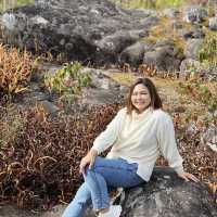 อุทยานแห่งชาติภูหินล่องกล้า ท้าลมหนาว ลานหินปุ่ม