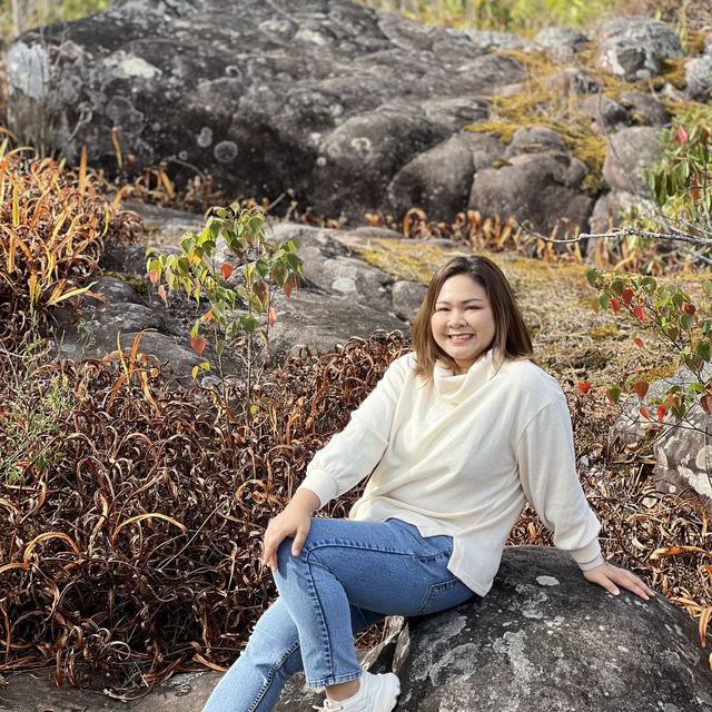 อุทยานแห่งชาติภูหินล่องกล้า ท้าลมหนาว ลานหินปุ่ม