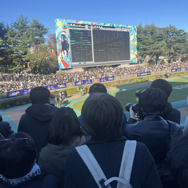 【東京🗼】競馬だけじゃない！東京競馬場を遊び尽くそう🙌🏻