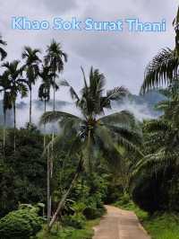 Khao Sok Surat Thani ⛰️