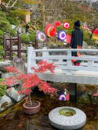 奈良観光🍁岡寺🍁
